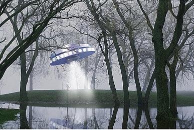 养蛙致富《圆滚滚，丑蛙池塘》Steam商店页面公开